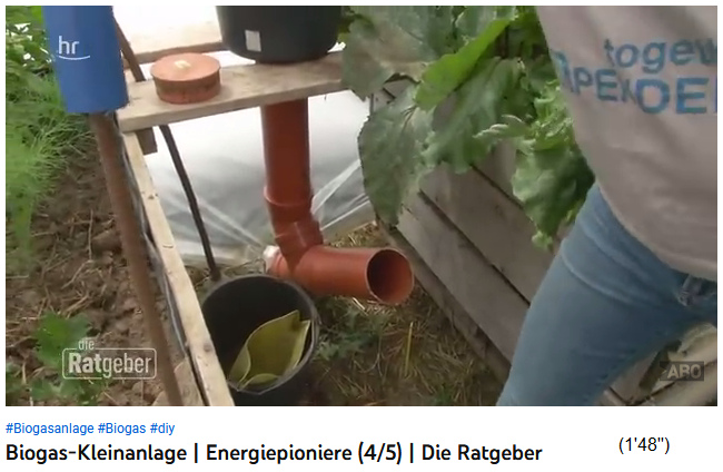 La entrada al saco de biog�s para la producci�n
                    de gas, donde ocurre la fermentaci�n