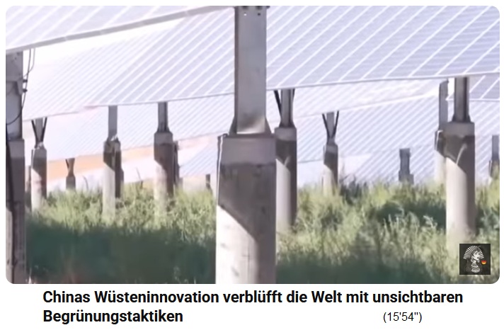 Desierto de Tibuki en China:
                        paneles solares de 3 metros de altura y cultivo
                        de campo en el suelo