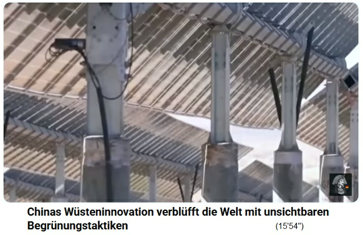 Desierto de Tibuki en China:
                        paneles solares de 3 metros de altura y cultivo
                        de campo en el suelo
