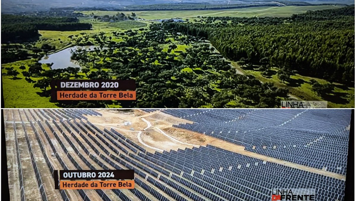 Der katholische Teufel der Sonnenenergie
vernichtet Wald+Weisen in Torre Bela (Portugal) am
23.12.2024: In 4 Jahren wurden 865 Hektar Wald
VERNICHTET Der katholische Teufel der
Sonnenenergie vernichtet Wald+Weisen in Torre Bela
(Portugal) am 23.12.2024: In 4 Jahren wurden 865
Hektar Wald VERNICHTET