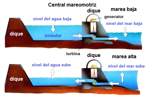Gezeitenkraftwerk mit Turbine in einem Damm bei
                  Ebbe-Strom und Flut-Strom, Schema