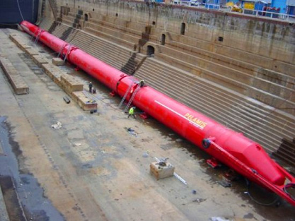 Strom-Wasserschlange
                                "Pelamis" in einem
                                Trockendock