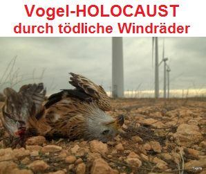 Adler durch kriminelles Windrad
                    erschlagen, "USA", Altamont-Pass bei San
                    Francisco, 2014