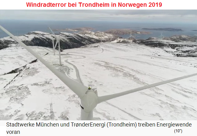 Windradterror bei Trondheim
                              in Norwegen 2019 - Insekten und Vögel
                              werden erschlagen, Tiere am Boden gehen
                              ein oder flüchten