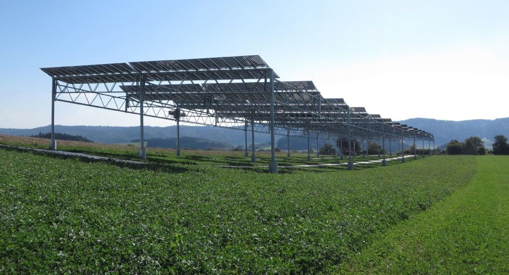 Beispiel: Solaranlage über ein Feld gebaut mit
                    Schattenpflanzen Kartoffeln unten, Hofgemeinschaft
                    Heggelbach in Herdwangen (BW)