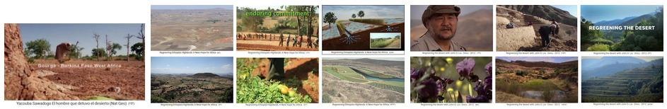 Turning
                            the desert into forest - completely
                            restoring of ecosystems - examples from
                            Africa and China