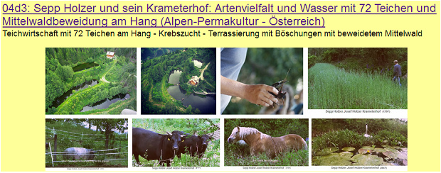 Pionier Sepp Holzer hat auf seinem Bauernhof in
                    �sterreich an einem Berghang 72 Teiche angelegt
