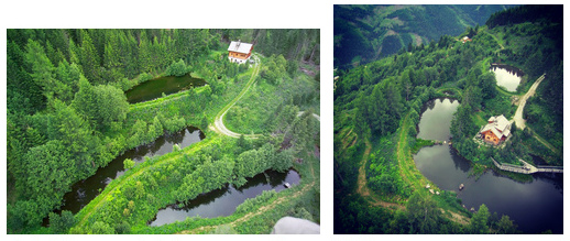 72 ponds+lakes on permaculture
                          farm "Krameterhof" of Sepp Holzer in
                          Austria