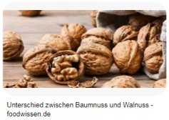Baumnuss / Walnuss