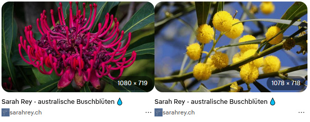 Heilende Essenzen der
                    Australischen Buschbl�ten, 2 Beispiele