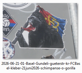 Krimineller FC Basel: Kleber mit aggressivem
                    Gorilla im Gundeli an der G�terstrasse, 21.6.2026