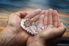 Fehlgeburten (hier symbolisch
                            eine eingewickelte Puppe) hufen sich, wenn
                            die Eltern stark Quecksilber ausgesetzt
                            sind