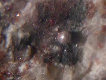 Quecksilber in Naturform in
                kleinen Tr�pfchen, Moschellandsberg, Pfalz, Deutschland