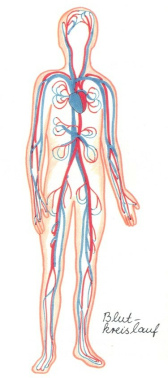 Das Blut nimmt Quecksilber aus
                            Quecksilberd�mpfen auf, und so kann jedes
                            Organ durch Quecksilberd�mpfe gesch�digt
                            werden.