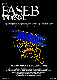 FASEB, Cover (Beispiel)