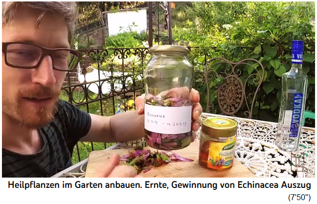 Echinacea-Tinktur selber
                  machen 06, Etikette mit Name und Datum