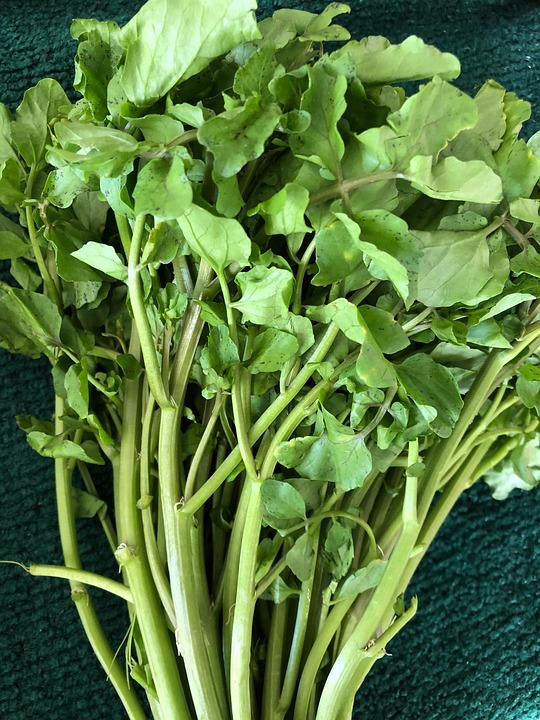 Watercress leaves
