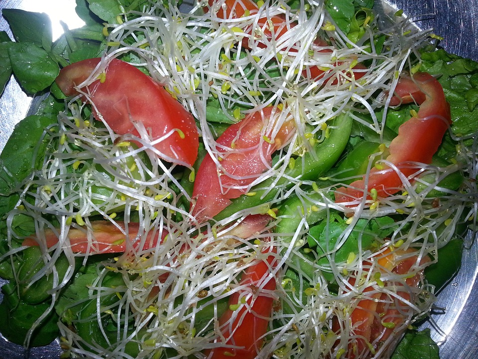 Watercress sprouts on the salad plate