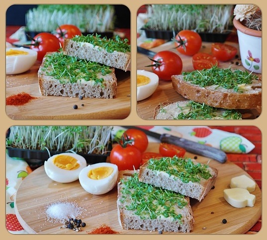 Berros de jard�n picados sobre pan con mantequilla