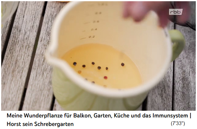 Vinegar decoction with peppercorns