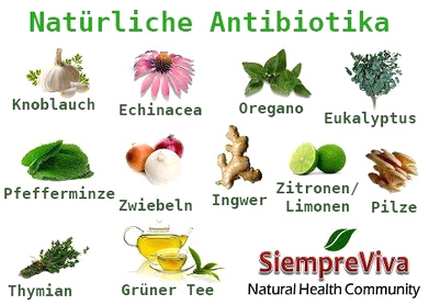 Natürliche Antibiotika: Knoblauch, Echinacea,
                    Oregano, Eukalyptus, Pfefferminze, Zwiebeln, Ingwer,
                    Zitronen / Limonen, Pilze, Thymian, Grüntee - und
                    auf dem Foto fehlt: der Honig