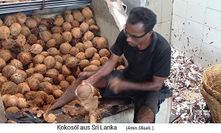 Der Kokosarbeiter hackt der Kokosnus mit einer Machete die Schale ab