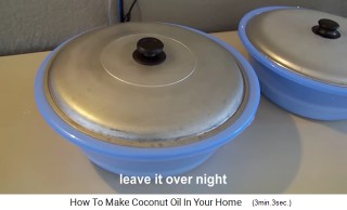 Die Kokosmilch wird ber Nacht mit Deckel bei Zimmertemperatur stehengelassen, und es trennt sich die Creme vom Wasser