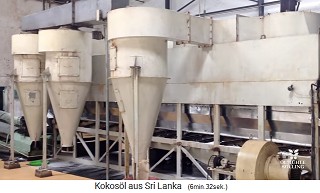 Production of coconut oil in a large mill: coconut meat become coconut flakes
