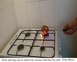 The
                  coconut is burned the hair 01