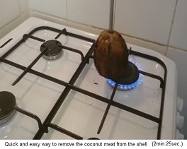 The
                  coconut is burned the hair 03