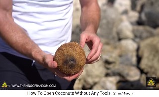 this
                  is the coconut which is offered in stores