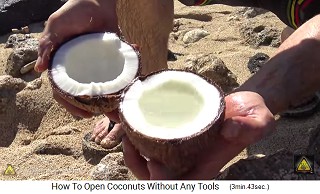 So one gets 2
                  equal halves of the coconut, one filled with coconut
                  water, the other without