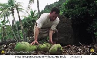 There are
                  also green coconuts