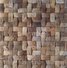 Coconut
                  palmwood mesh network