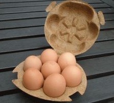 Egg
                  box made of pressed coconut fiber