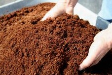 Earthworms earth and coconut
                  fiber for horticulture 01