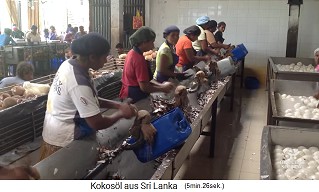 The pulp /
                    coconut meat (copra) is peeled by hand with a knife
                    on a buffer 01