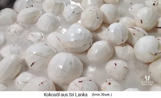 The peeled pulp / coconut meat (copra)