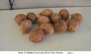 There are 12
                    coconuts