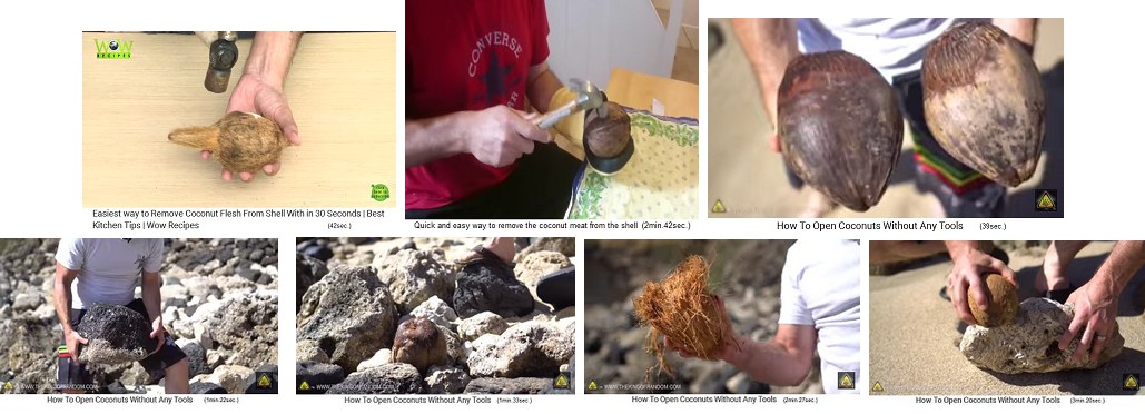 Open a
                              coconut