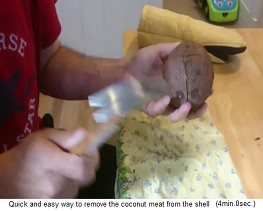 El
                  caparaz�n del coco se divide