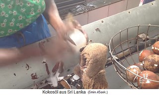 La
                    pulpa (copra) se pela a mano con un cuchillo en un
                    tamp�n 02, vista de cerca