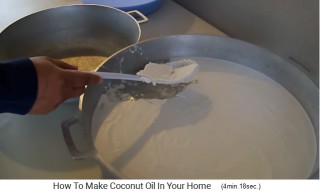 La crema de
                coco se extrae 02