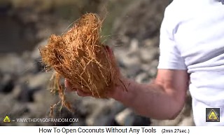 Die Kokosnuss selber hat noch
                "Haare" dran