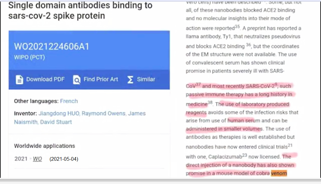 Patente 4-5-2021: Anticuerpos de un
                dominio que ligan con proteínas de SARS-CoV-2 (orig.
                inglés: Single domain antibodies binding to sars-cov-2
                spike protein) - texto 01