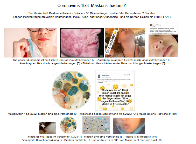 Title of the web site
                  against mask madness: Mask=exhaust gas+petri
                  dish+microplastic+blocking speech development+rash