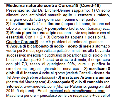 Flyer (volantino)
                      con la medicina naturale contro Corona19
                      (Covid-19)