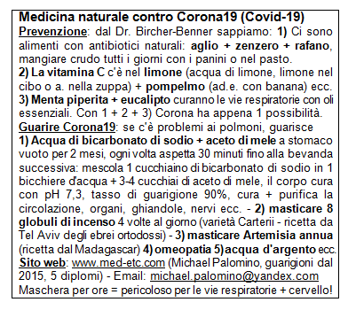 Flyer (volantino)
                      con la medicina naturale contro Corona19
                      (Covid-19)