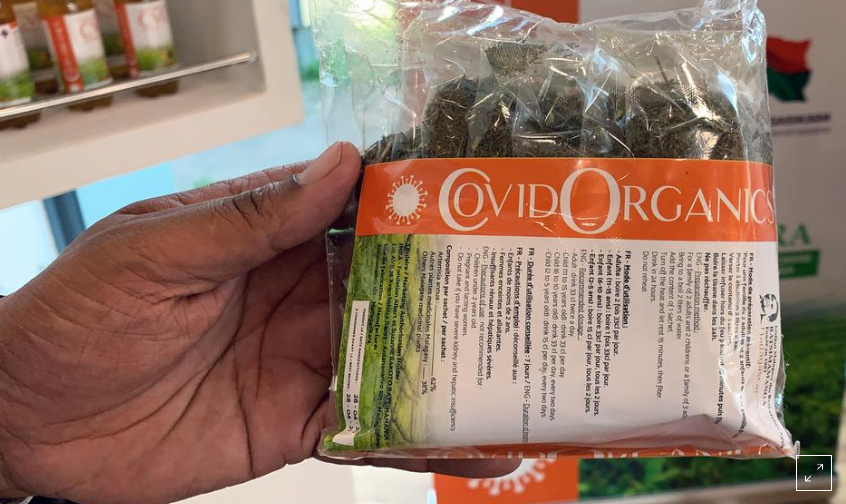 Corona19-Heilmittel mit Artemisia annua,
                  Kr�utermischung aus Madagaskar