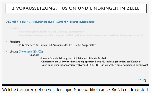 Slide 4b: Cholesterol is
                  integrated into the lipid nanoparticle
